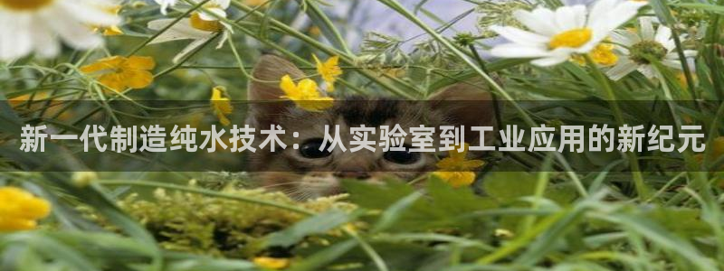 德国意昂3集团：新一代制造纯水技术：从实验室到工业应用的新纪