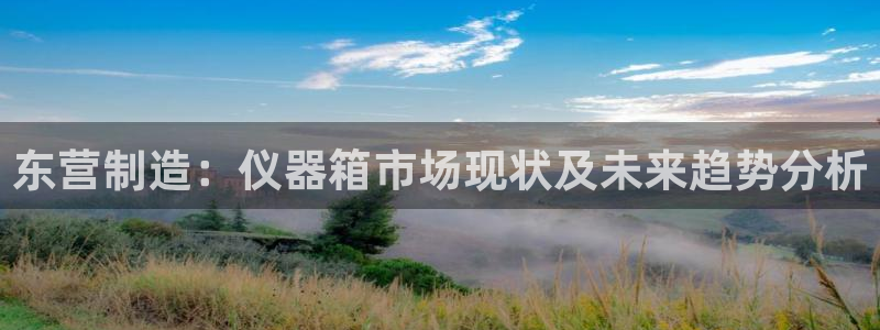意昂体育3平台注册要钱吗：东营制造：仪器箱市场现状及未来趋势