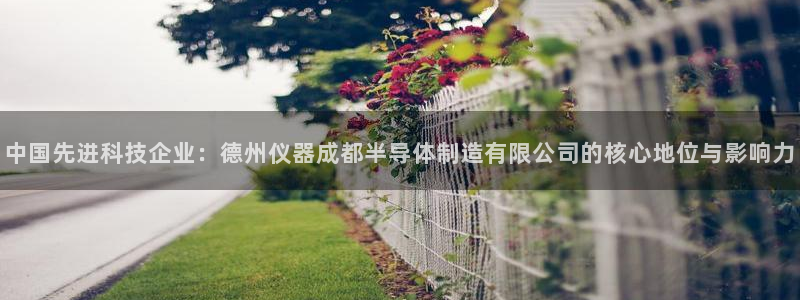 意昂3娱乐网站：中国先进科技企业：德州仪器成都半导体制造有限
