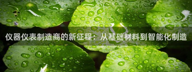 意昂集团官网：仪器仪表制造商的新征程：从基础材料到智能化制造