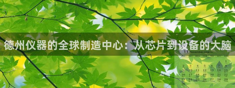 意昂体育3平台注册要钱吗：德州仪器的全球制造中心：从芯片到设