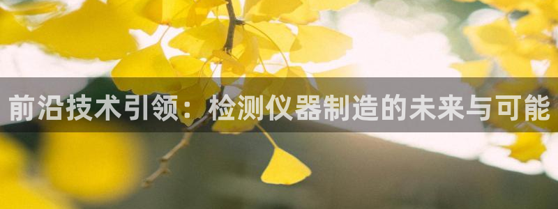 意昂体育3娱乐：前沿技术引领：检测仪器制造的未来与可能