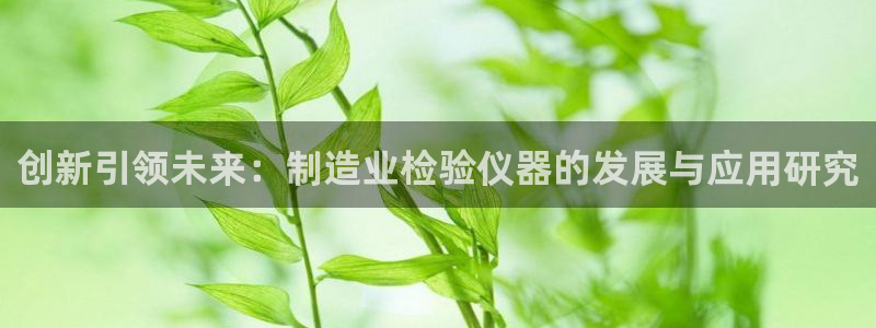 意昂3开户：创新引领未来：制造业检验仪器的发展与应用研究
