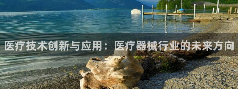 意昂3代理：医疗技术创新与应用：医疗器械行业的未来方向
