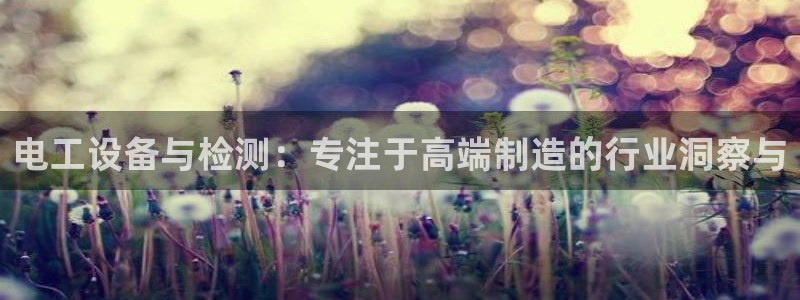 意昂体育3软件：电工设备与检测：专注于高端制造的行业洞察与