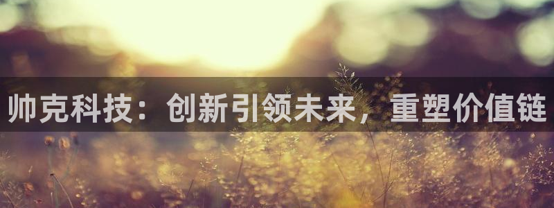 意昂体育3是干嘛的公司：帅克科技：创新引领未来，重塑价值链