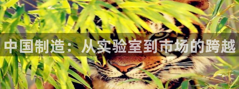 意昂体育3招商电话号码是多少号