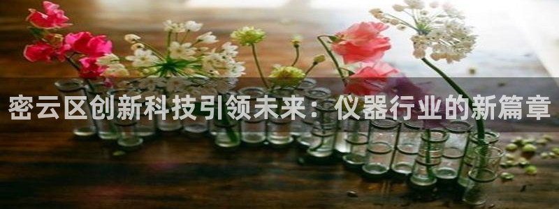 意昂3娱乐首页官网下载：密云区创新科技引领未来：仪器行业的新