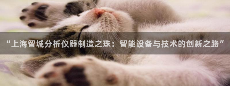 意昂体育3招商：“上海智城分析仪器制造之珠：智能设备与技术的