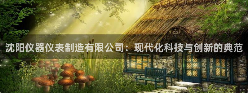 意昂3开户：沈阳仪器仪表制造有限公司：现代化科技与创新的典范