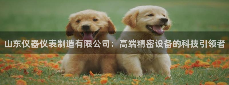 意昂3集团官网首页：山东仪器仪表制造有限公司：高端精密设备的