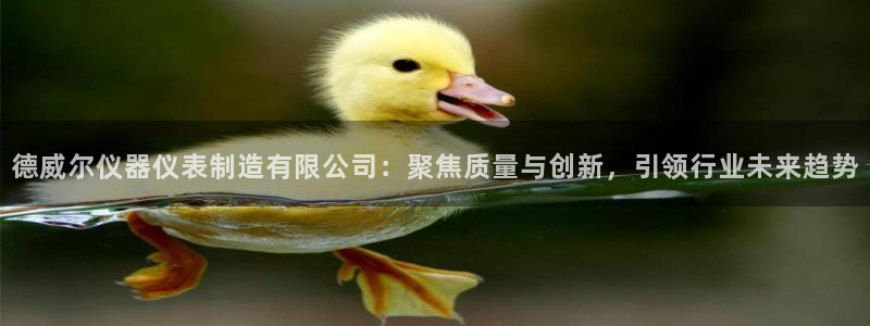 意昂体育3平台是正规平台吗知乎：德威尔仪器仪表制造有限公司：