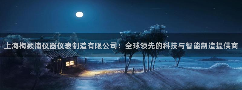 意昂3集团官网首页：上海梅颖浦仪器仪表制造有限公司：全球领先