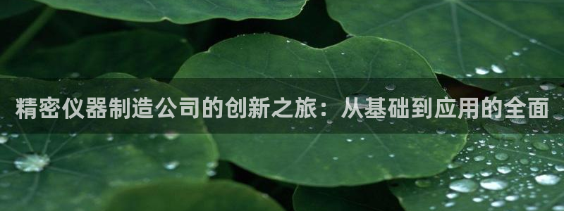 意昂3五金厂：精密仪器制造公司的创新之旅：从基础到应用的全面