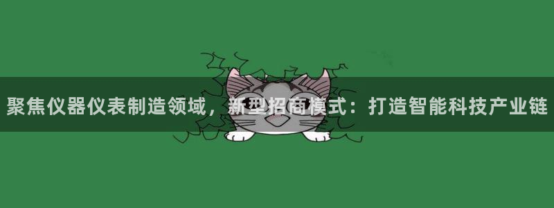 海南意昂体育3：聚焦仪器仪表制造领域，新型招商模式：打造智能