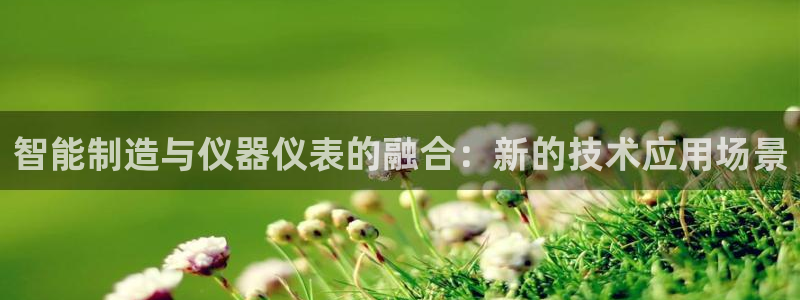 意昂体育3平台注册：智能制造与仪器仪表的融合：新的技术应用场