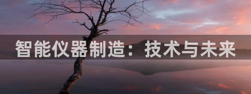 意昂体育3平台假的吗是真的吗吗：智能仪器制造：技术与未来