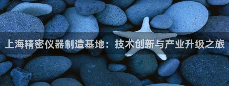 意昂体育3招商电话号码：上海精密仪器制造基地：技术创新与产业