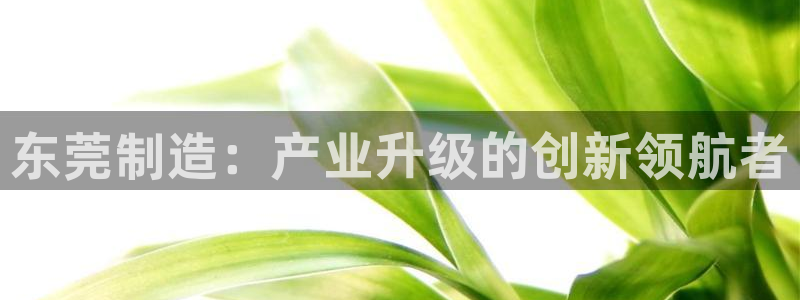 意昂3集团官网首页网址：东莞制造：产业升级的创新领航者