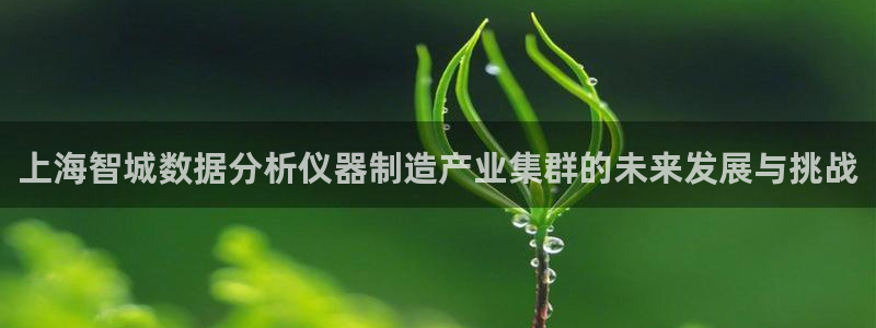注册意昂3：上海智城数据分析仪器制造产业集群的未来发展与挑战