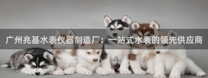 意昂体育3注册：广州兆基水表仪器制造厂：一站式水表的领先供应