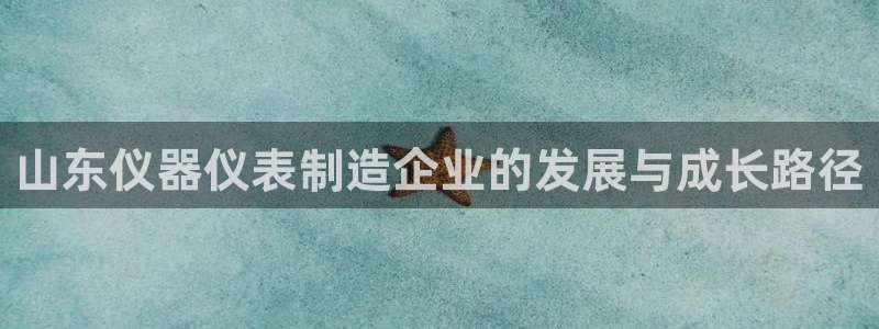 意昂3娱乐是那个系列的台子：山东仪器仪表制造企业的发展与成长