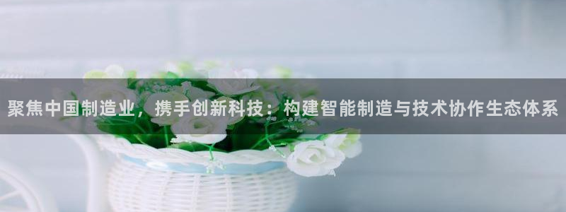意昂体育3招商电话号码：聚焦中国制造业，携手创新科技：构建智