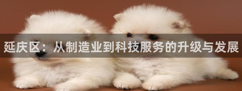 意昂体育3招商电话号码是多少号：延庆区：从制造业到科技服务的