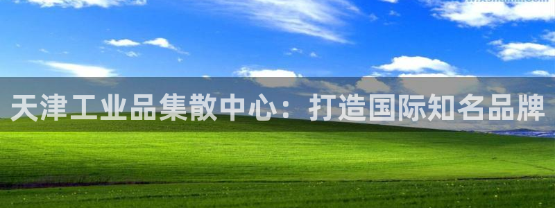 意昂3娱乐是那个系列的台子：天津工业品集散中心：打造国际知名