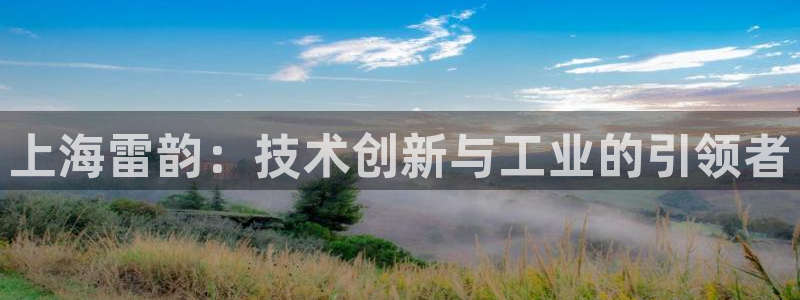 意昂体育3招商：上海雷韵：技术创新与工业的引领者
