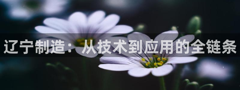 意昂体育3平台注册要钱吗：辽宁制造：从技术到应用的全链条