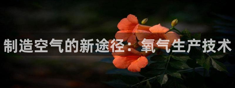 意昂3娱乐：制造空气的新途径：氧气生产技术