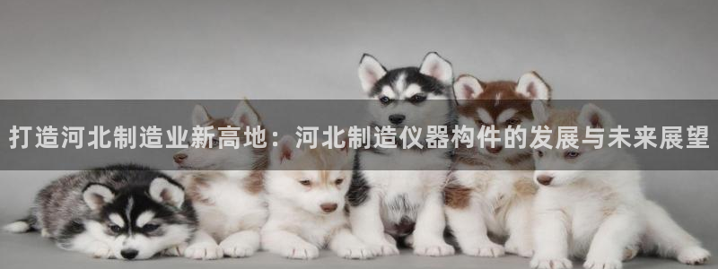 意昂体育3官方客服电话：打造河北制造业新高地：河北制造仪器构