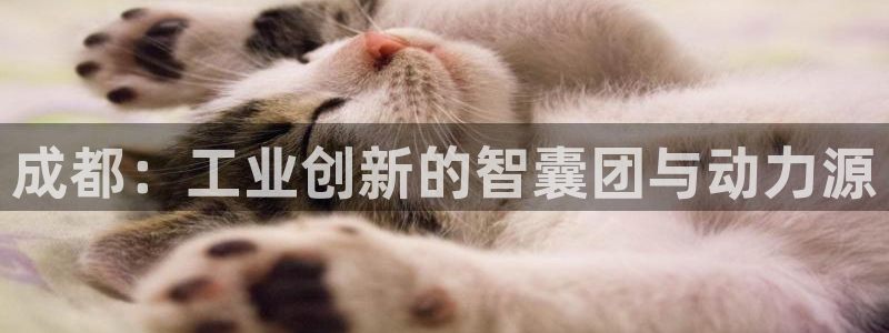 意昂体育3招商电话是多少号码：成都：工业创新的智囊团与动力源