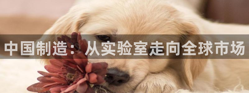 意昂体育3招商：中国制造：从实验室走向全球市场