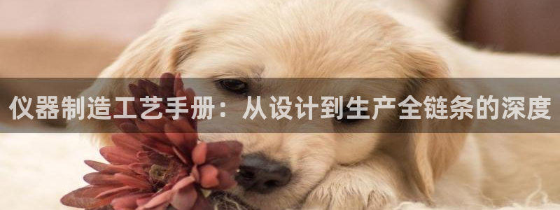 意昂体育3招商电话是多少啊：仪器制造工艺手册：从设计到生产全