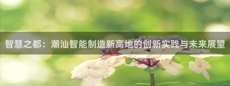 意昂体育3招商电话号码是多少啊：智慧之都：潮汕智能制造新高地
