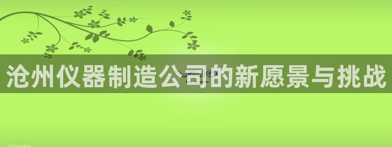 意昂3官方：沧州仪器制造公司的新愿景与挑战
