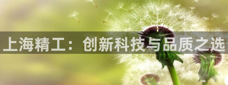 意昂体育3注册：上海精工：创新科技与品质之选