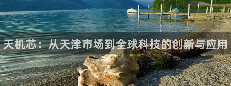 意昂体育3娱乐：天机芯：从天津市场到全球科技的创新与应用