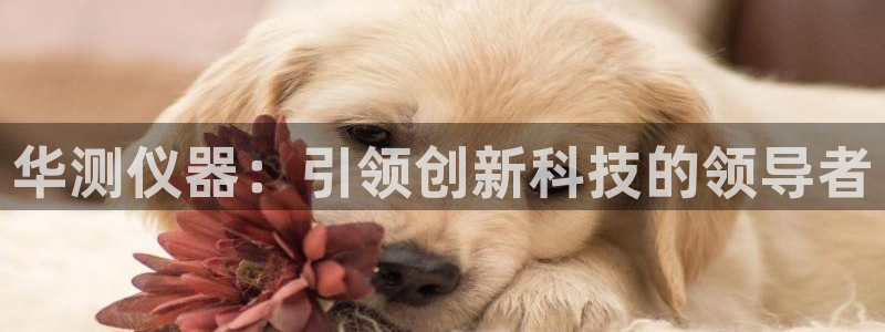 意昂体育3招商电话号码查询是多少：华测仪器：引领创新科技的领