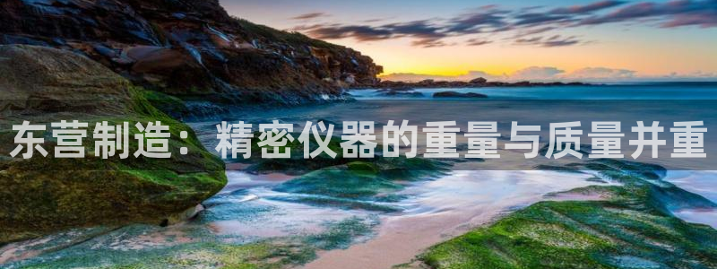 意昂体育3平台注册要钱吗：东营制造：精密仪器的重量与质量并重