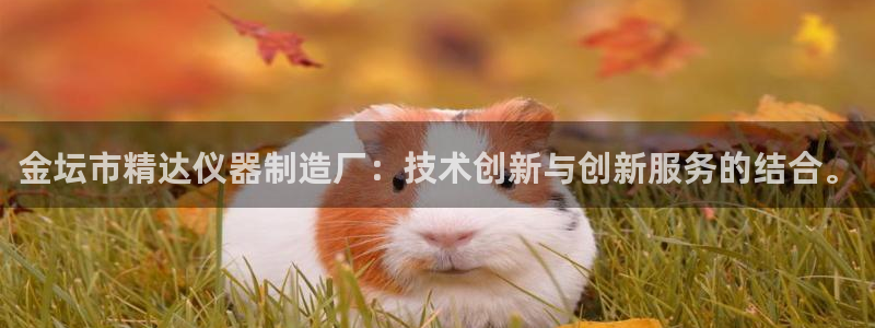 意昂体育3软件：金坛市精达仪器制造厂：技术创新与创新服务的结