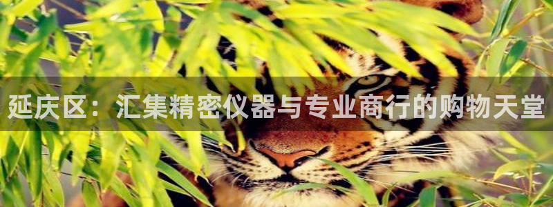 意昂3集团logo：延庆区：汇集精密仪器与专业商行的购物天堂