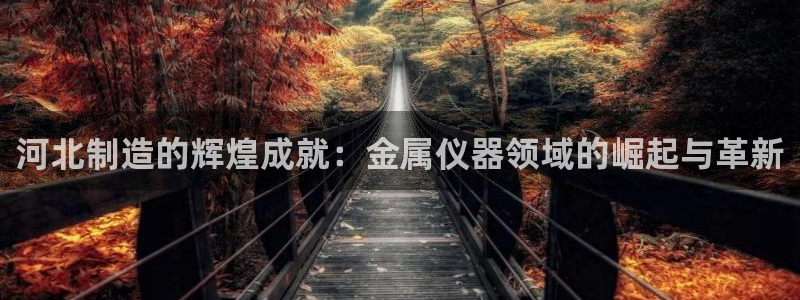 意昂体育3平台APP：河北制造的辉煌成就：金属仪器领域的崛起