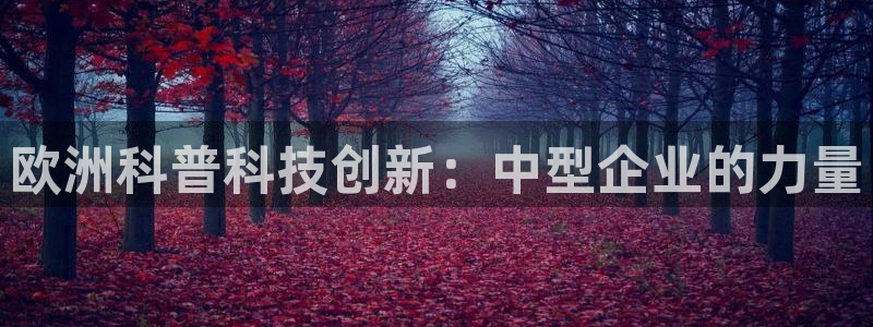 意昂体育3联系电话：欧洲科普科技创新：中型企业的力量