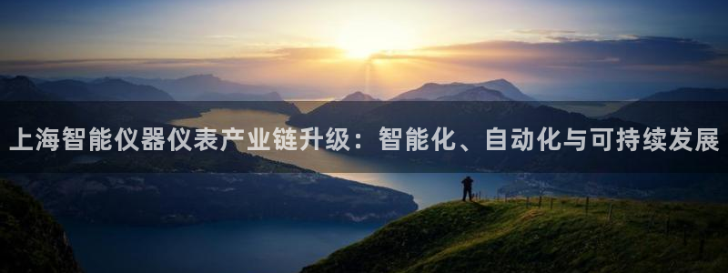 意昂体育3招商电话是多少：上海智能仪器仪表产业链升级：智能化
