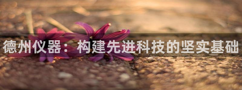 意昂体育3开户：德州仪器：构建先进科技的坚实基础
