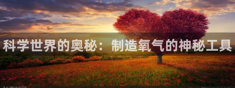 意昂体育3招商电话地址：科学世界的奥秘：制造氧气的神秘工具