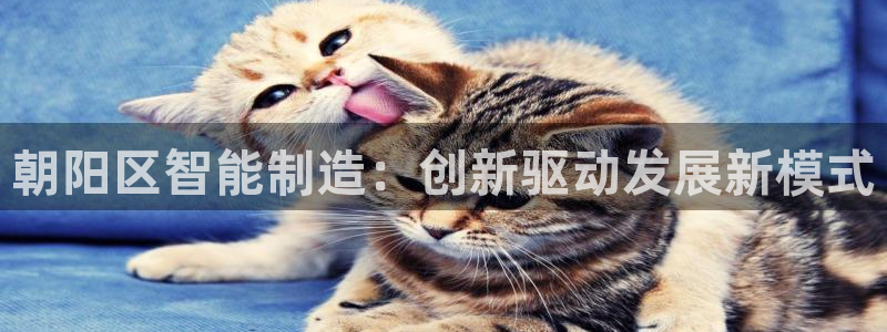 意昂平台体育：朝阳区智能制造：创新驱动发展新模式